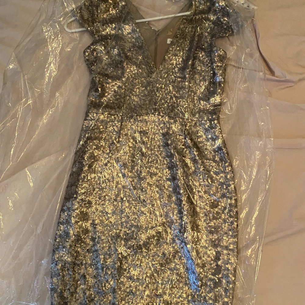 Dress the population sequin mini